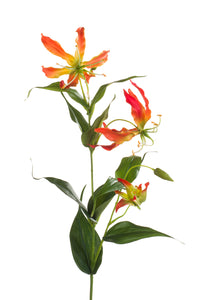 Artificial gloriosa - 1 stem - Orange