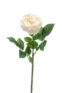 Rose anglaise artificielle - 1 tige - Crème