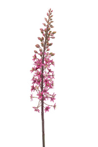 Artificial eremurus - 1 stem - Fuchsia