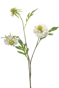 Scabiosa artificielle - 1 tige - Blanc