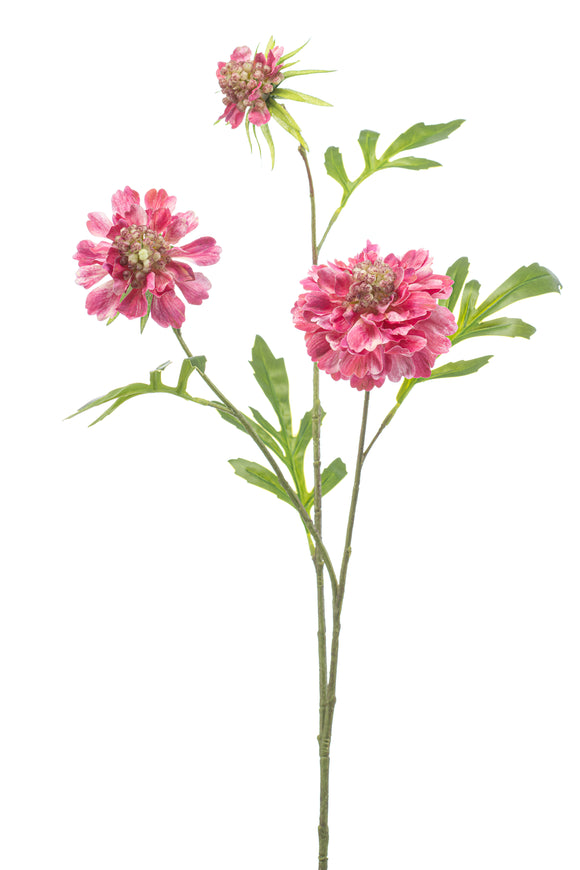 Scabiosa artificielle - 1 tige - Rose