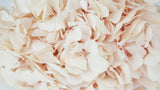 Hortensia stabilisé Kiara - 1 tête - Pink blush